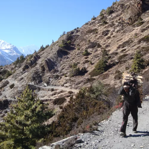 Annapurnas alternatif Annapurnas alternatif Visuel